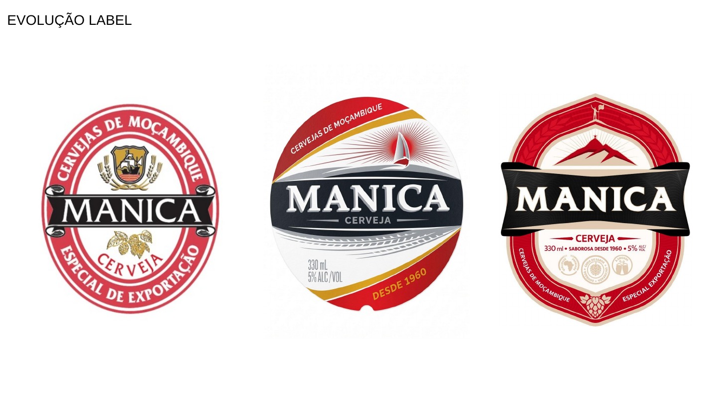 Manica Rebranding — página 34