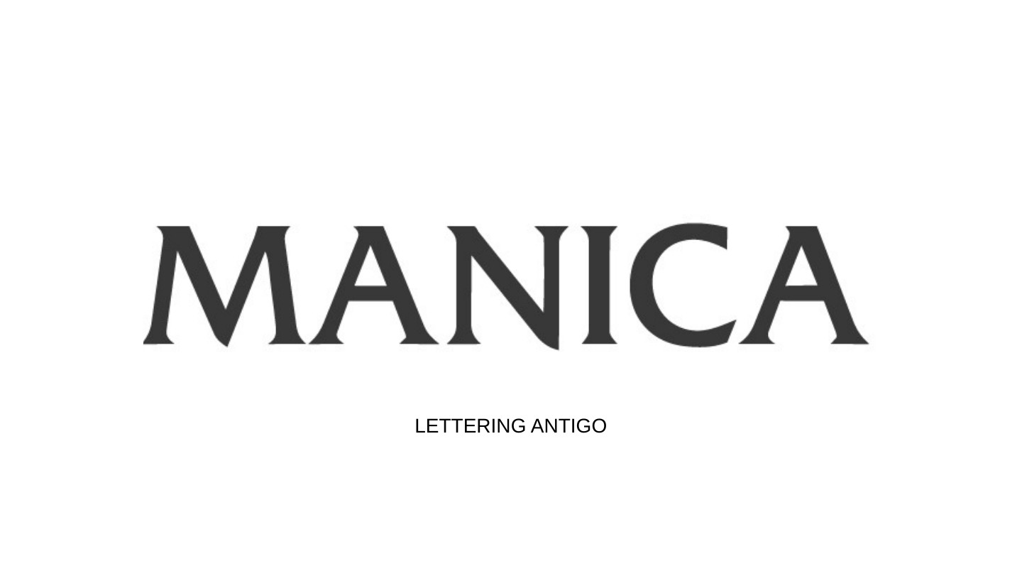 Manica Rebranding — página 5